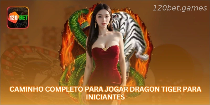 Caminho completo para jogar Dragon Tiger para iniciantes.